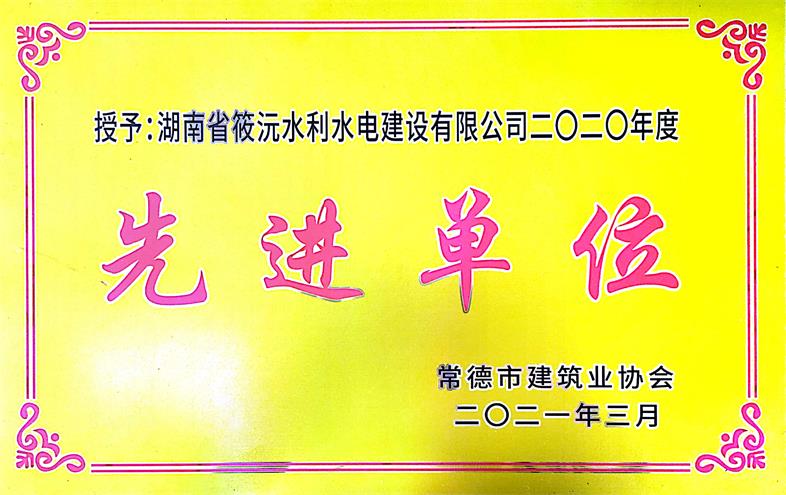 2020年先进单位
